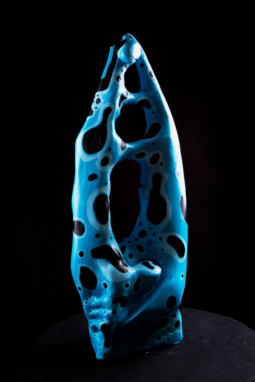 details image